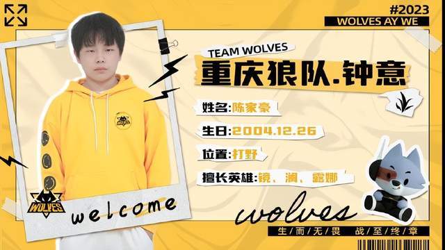 提供阵容信 提供阵容信